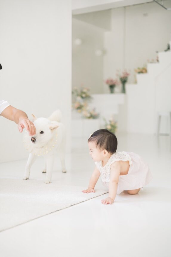 週歲寶寶蛋糕計畫與親子寫真